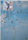 Germany Deutschland 1988 Maximum Card, Tag Der Briefmarke, Brieftauben, Stamp Day, Postman Bird Birds Dove, Bonn - 1981-2000