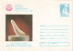 A24314 - Foca Miracolul Constantin Brancusi Sculptor 1982 Cover Stationery 2 Lei Stamp Stationery - Ganzsachen