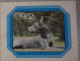 Petit Calendrier Poche 1982  Chien Dogue Allemand Bleu - Nantes Loire Atlantique - Small : 1981-90