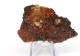 Minéraux Vanadinite Sur Barytine - Minerales