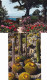 CPA MONACO - 2 Cartes Postales Jardin Exotique Cactus Cactées Et Fleurs - Exotische Tuin