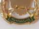 Delcampe - Persian, Iran , Iranian Badge Of The Iran Army  Infantry Force   نشان نیروی زمینی ارتش - Hueste