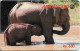 Sri Lanka - Metrocard (Chip) - Two Elephants Bathing, SC7, 600Rs, Used - Sri Lanka (Ceilán)