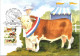 16-4-2024 (2 Z 11) Australia Maxicard (Agricultural Shows) Cow / Vache - Vaches