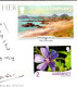 16-4-2024 (2 Z 11) Guernsey (posted To Australia) Mail A LOBSTER (humour) Homard - Poissons Et Crustacés