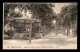 83 - DRAGUIGNAN - AVENUE DU PONT DE LORGNES ET KIOSQUE DE MUSIQUE - Draguignan