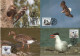 Sweden 1994 WWF W.W.F. Maximum Cards Bird Set X4 Birds Fauna Sverige - Maximumkaarten