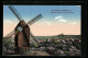 AK Werder A. H., Baumblüte, Panorama Blick Auf Die Wachtelburg Mit Windmühle  - Werder