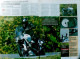 Article Papier 12 Pages MOTO GUZZI 1200 STELVIO MORINI 1200 GRANPASSO BMW R1200 GS KTM 990 Octobre 2009 MJFL - Ohne Zuordnung