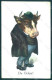 Animals Anthropomorphic Dressed Cow WSSB 509 Postcard HR0411 - Other & Unclassified