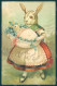 Greetings Easter Anthropomorphic Dressed Rabbit CORNER CREASED Relief Pc HR0211 - Other & Unclassified