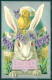 Greetings Easter Rabbit Chick Egg Violets Relief Postcard HR0099 - Other & Unclassified