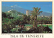 ES ISLAS CANARIAS TENERIFE - Tenerife