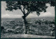 Terni Orvieto Panorama PIEGHINA Foto FG Cartolina MZ5009 - Terni