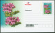 Südafrika Ganzsachen Blumen Set Von 5 Postcards Ohne Werteindruck 2003. - Storia Postale