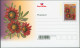 Südafrika Ganzsachen Blumen Set Von 5 Postcards Ohne Werteindruck 2003. - Cartas & Documentos