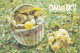 Basket With Mushrooms, Mushrooms,  Ukraine, 1988 - Tamaño Pequeño : 1981-90