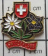 713c Pin's Pins / Beau Et Rare : AUTRES / SUISSE SWITZERLAND FLEURS DES MONTAGNES - Andere & Zonder Classificatie