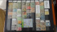 Delcampe - BF31 Ensemble De Timbres De Divers Pays + Merson N° 145 + 146 + 156 ** Cote 470 Euros - Collections (en Albums)