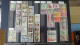 Delcampe - BF31 Ensemble De Timbres De Divers Pays + Merson N° 145 + 146 + 156 ** Cote 470 Euros - Verzamelingen (in Albums)