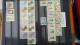 Delcampe - BF31 Ensemble De Timbres De Divers Pays + Merson N° 145 + 146 + 156 ** Cote 470 Euros - Collections (with Albums)