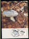 Saint Pierre Et Miquelon CM - Champignons 1988 - 1989 - 1990 - Maximumkaarten