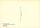Art - Peinture - Paul Klee - Parcimonieusement Garni De Feuilles (1934) - Sparse Foliage - Sparlich Belaubt - Carte Neuv - Malerei & Gemälde
