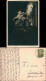 Ansichtskarte Berlin Altes Museum Im Lich - Nacht, Fotokarte 1932 - Other & Unclassified