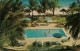 Barbados Pool At Half Moon Hotel, St. Lawrence Gap, Barbados, Karibik 1975 - Barbados