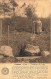 BELGIQUE - Stoumont - Roanne Coo - Fontaine Du Loup - Animé - Carte Postale Ancienne - Stoumont