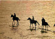 Animaux - Chevaux - Bretagne - Promenade équestre Sur La Plage - CPM - Voir Scans Recto-Verso - Chevaux