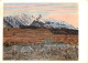 Art - Peinture - Ferdinand Hodler - Alpenlandschaft (Stockhorn) 1883 - Carte Neuve - CPM - Voir Scans Recto-Verso - Paintings