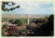 Maroc - Rabat - Chellah Avec Sa Mosquée - CPM - Carte Neuve - Voir Scans Recto-Verso - Rabat