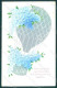 Greetings Birthday Flowers Myosotis Hot Air Balloon Relief Postcard HR0158 - Fleurs