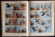 Delcampe - Hergé - Tintin - Le Temple Du Soleil - Casterman - ( 1957 - 14B22 Bis ) . - Tintin