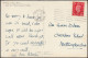 Rosa Pomifera Herrmann, 1939 - Burrow Postcard - Arbres