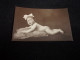 Bébé Sur Un Coussin. Carte Photo . Tirage Privé . Confidentiel . Chari , Photographe à Paris .Années 1915 - 1920 - Bebes