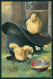 Artist Signed M. Trube Pasqua Easter Chick Ostern K�ken Hat Postcard TC3669 - Other & Unclassified