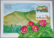 ISRAEL 1990 MAXIMUM CARD POSTCARD NATURAL RESERVE MERON FIRST DAY OF ISSUE CARTOLINA CARTE POSTALE POSTKARTE CARTOLINA - Maximum Cards