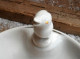 * Assiette Bébé  Avec Réservoir D'eau Chaude, En Porcelaine "PILLIVUYT" France  Fond Blanc - Autres & Non Classés