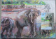 ISRAEL1992 MAXIMUM CARD POSTCARD ELEPHANT JERUSALEM ZOO FIRST DAY OF ISSUE CARTOLINA CARTE POSTALE POSTKARTE CARTOLINA - Maximumkarten