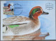 ISRAEL1988 MAXIMUM CARD POSTCARD DUCK TEAL ANAS CRECCA FIRST DAY OF ISSUE CARTOLINA CARTE POSTALE POSTKARTE CARTOLINA - Maximum Cards