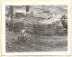 British Motocross Race / Scramble *10 (Vintage Photo UK ~1950s) - Automobili