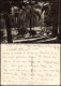 Postcard Monte-Carlo Contre-jour Sur Les Jardins 1947 - Autres & Non Classés