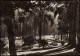 Postcard Monte-Carlo Contre-jour Sur Les Jardins 1947 - Autres & Non Classés