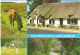 SCENES FROM THE NEW FOREST, HAMPSHIRE. USED POSTCARD M7 - Andere & Zonder Classificatie