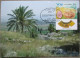 ISRAEL 2005 MAXIMUM CARD POSTCARD MEGIDDO CITY RUINS FIRST DAY OF ISSUE CARTOLINA CARTE POSTALE POSTKARTE CARTOLINA - Maximumkaarten