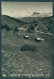 Belluno Passo Campolongo Albergo Boè Foto Cartolina ZC4605 - Belluno