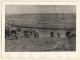 British Motocross Race - Large Group Uphill / Scramble *23 (Vintage Photo UK ~1950s) - Automobili