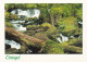 Tintagel  - Cornwall - Unused Postcard - Cor5 - Newquay